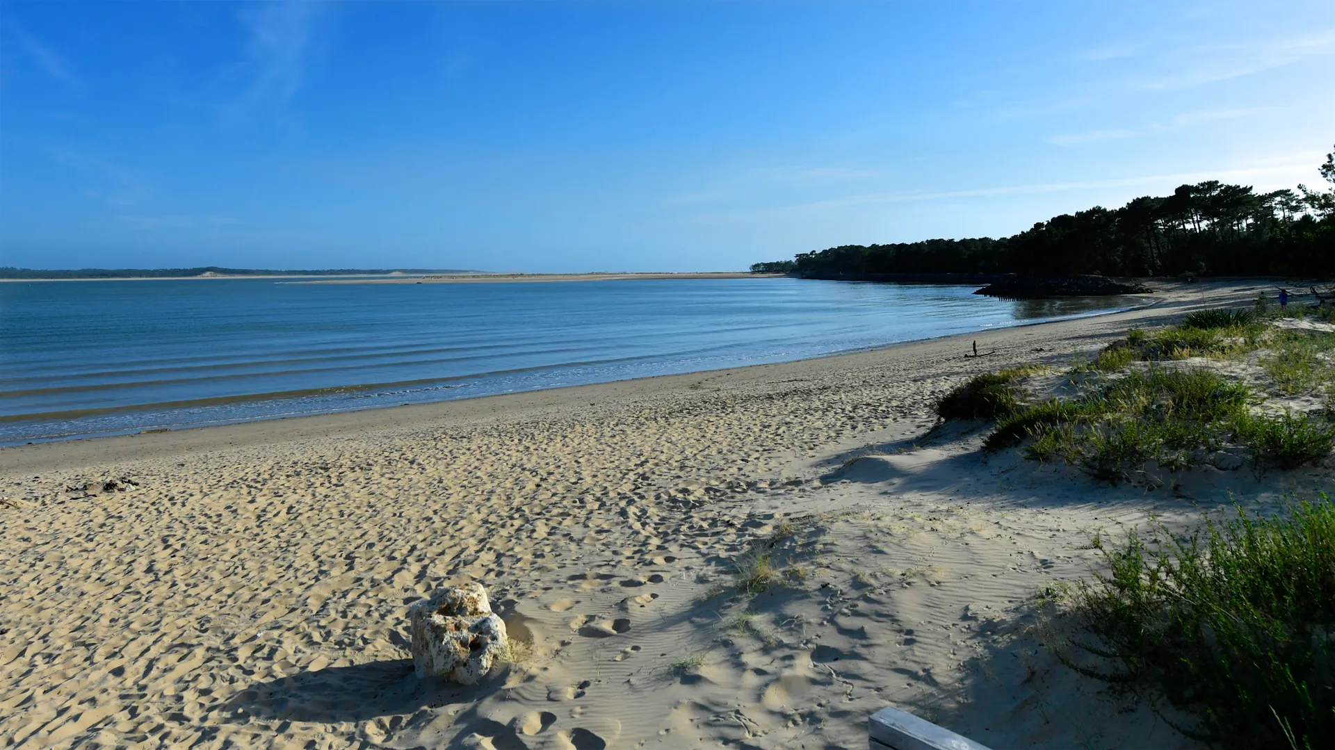 Plage de sable entre mer et forêt, île d'Oléron